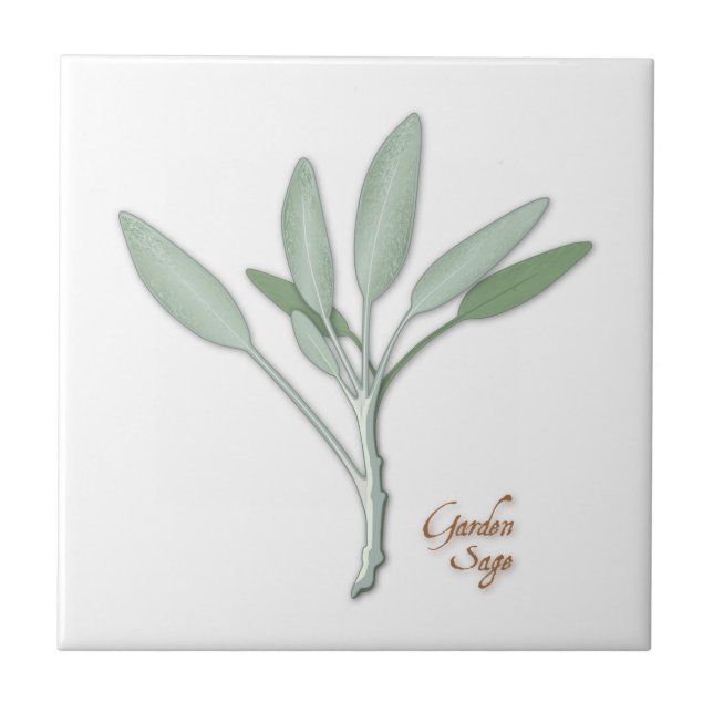 Garden Sage Herb Ceramic Tile (Front)