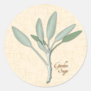 Garden Sage Herb Classic Round Sticker