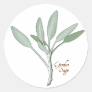 Garden Sage Herb Stickers