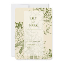 Garden Scabiosa flower line illustration.