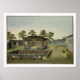 Garden Scene, c.1820-40 (w/c on paper) 4 Poster