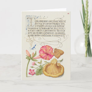 Garden Scene with Flowers, Butterfly and Mushroom Card