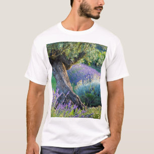 Garden scenic with flowers, France T-Shirt