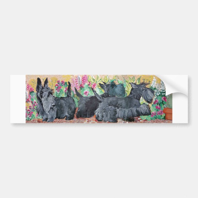 Garden Scottish Terriers Bumper Sticker (Front)