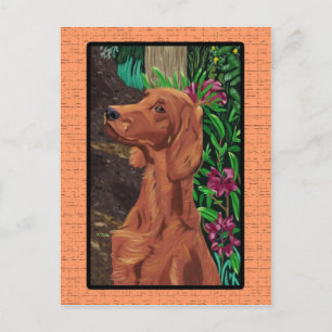Garden Setter postcard