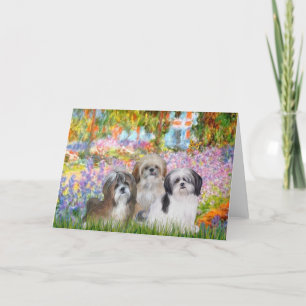 Garden - Shih Tzus (three) Card