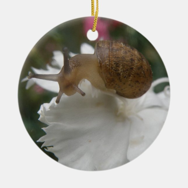 Garden Snail and White Carnation Custom Birthday Ceramic Ornament (Front)