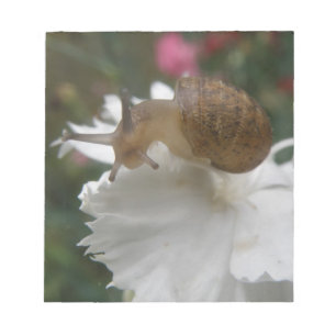 Garden Snail and White Carnation Notepad