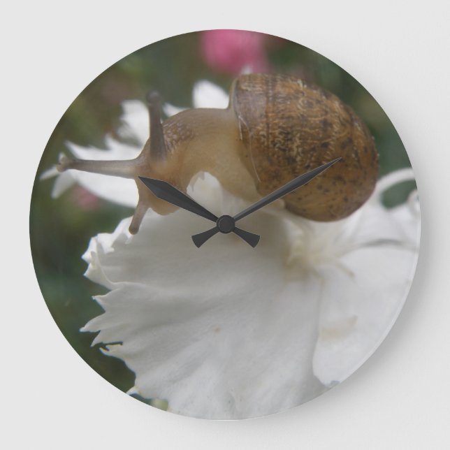 Garden Snail and White Carnation Wall Clock (Front)