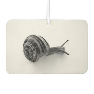 Garden Snail Nature Photography Car Air Freshener
