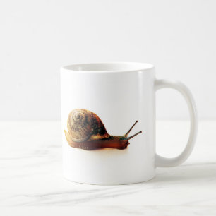 Garden Snail Nature Photography Coffee Mug
