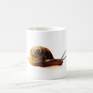 Garden Snail Nature Photography Coffee Mug