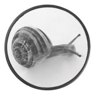 Garden Snail Nature Photography Hockey Puck