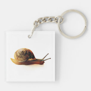 Garden Snail Nature Photography Key Ring