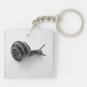 Garden Snail Nature Photography Key Ring