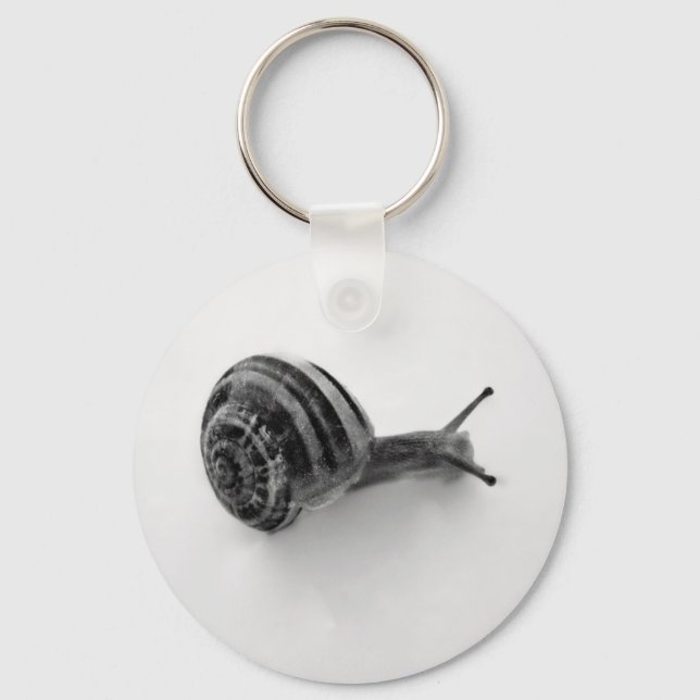 Garden Snail Nature Photography Key Ring (Front)