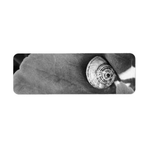 Garden Snail Nature Photography Return Address Label