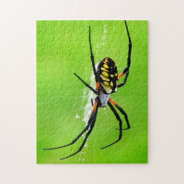 Garden Spider Jigsaw Puzzle (Vertical)