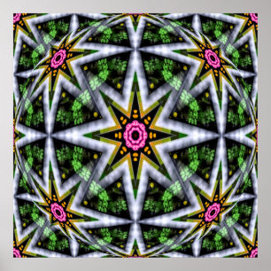Garden  Star Ball... Poster