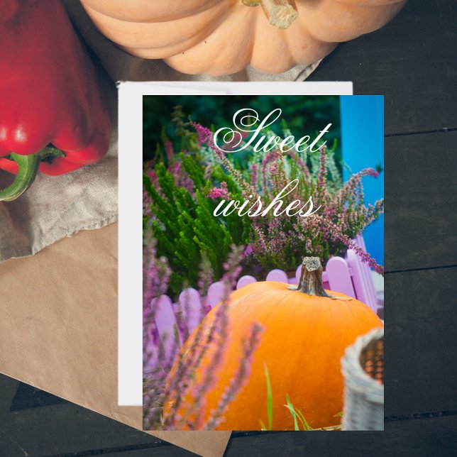 Garden still life with an orange pumpkin card (Creator Uploaded)