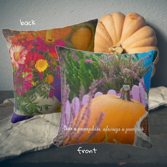 Garden still life with an orange pumpkin  cushion (Creator Uploaded)