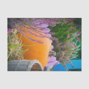 Garden still life with an orange pumpkin tissue paper