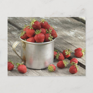 garden strawberries in mug postcard