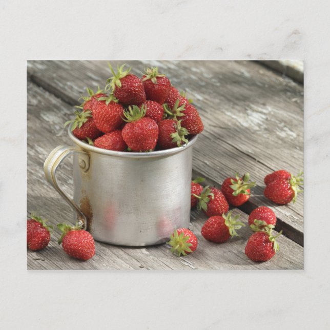 garden strawberries in mug postcard (Front)