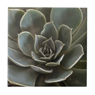 Garden Succulent Green Grey Tones Realistic Art Ceramic Tile