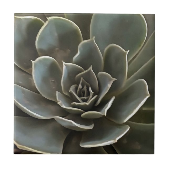 Garden Succulent Green Grey Tones Realistic Art Ceramic Tile (Front)