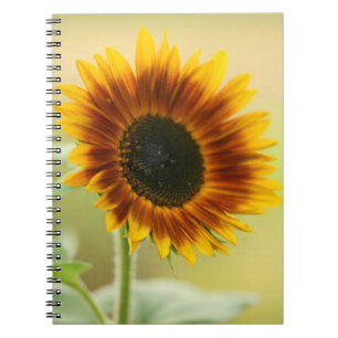 Garden Sunflower Notebook
