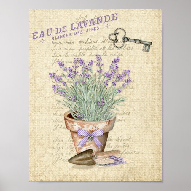 Garden Terracotta Pot French Lavender Poster (Front)