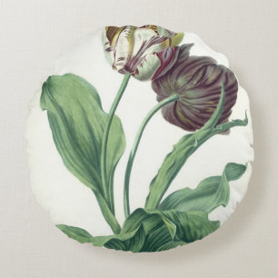 Garden Tulip, from 'Opera Botanica', engraved by L Round Cushion