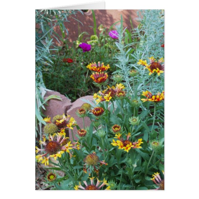 GARDEN VARIETY (Front)