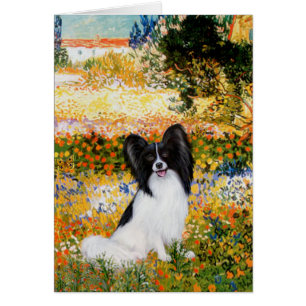 Garden (VG) - Papillon 1
