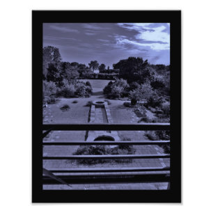 Garden Vision Photo Print