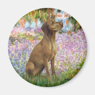 Garden - Vizsla 1 Magnet