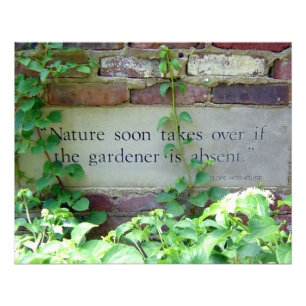 Garden Weeding Wisdom at Inniswood Park Photo Print
