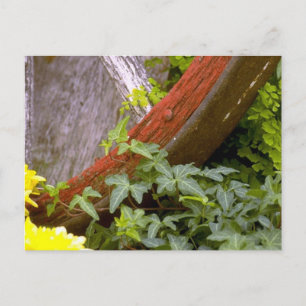 garden wheel postcard