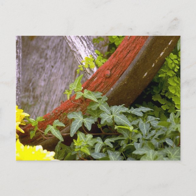 garden wheel postcard (Front)