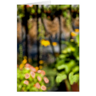 Garden With Wrought Iron