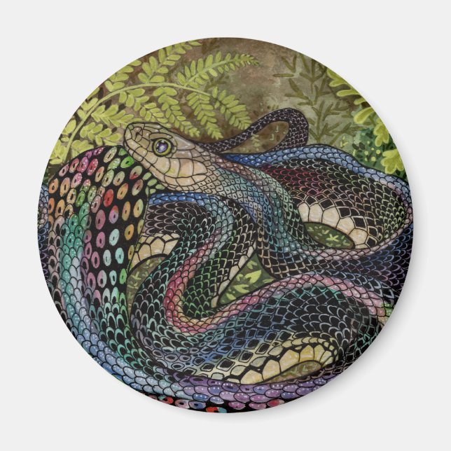 Gardener Snake Study Beyond the Skin Magnet (Front)