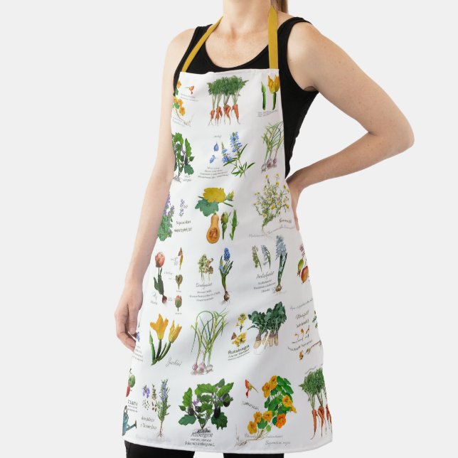 Gardener's harvest and cooking apron. apron (Insitu)
