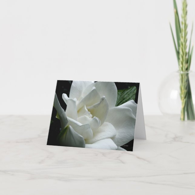 Gardenia Card (Front)