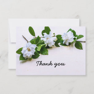 Gardenia flowers Sympathy Thank You Flat Card