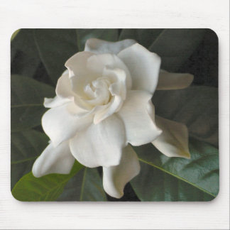 Gardenia Mousepad