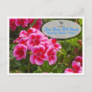 Gardenia Postcard