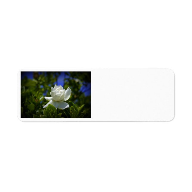 Gardenia Return Address Label (Front)