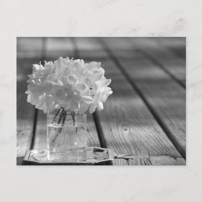 Gardenias Postcard (Front)