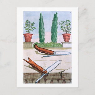 Gardening Knife, from 'Hesperides' by Giovanni Bat Postcard